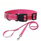 Pet Accessories Set - Nylon Dog Collar and Leash Set