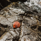 Earth Tu Face - Geranium & Vetiver Perfume