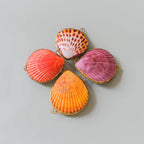 Earth Tu Face - Leaves & Wood Solid Perfume Balm + Mother of Pearl Spoon