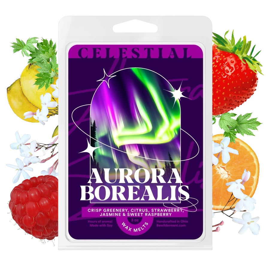 Bewilderment - Aurora Borealis Wax Melts