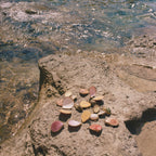 Earth Tu Face - Leaves & Wood Perfume