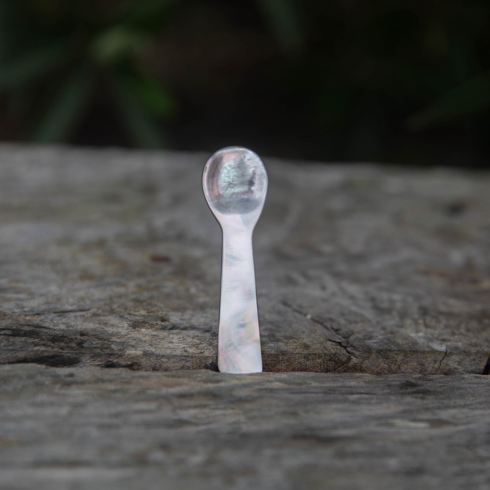 Earth Tu Face - Leaves & Wood Solid Perfume Balm + Mother of Pearl Spoon