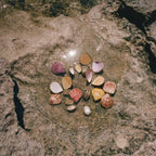 Earth Tu Face - Geranium & Vetiver Perfume