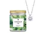 JewelScent - Concolor Fir Jewelry Aroma Beads